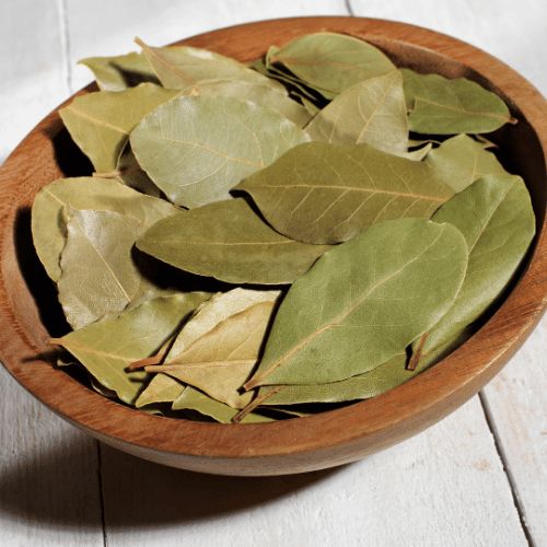 Hoja de Laurel