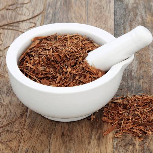 Catuaba Extract