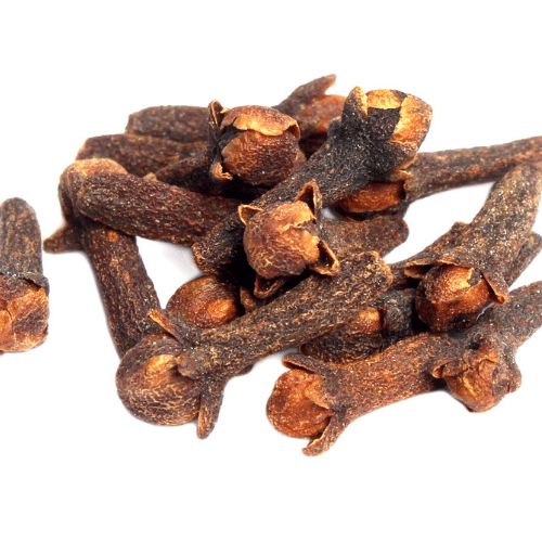 Extracto de Hoja de Clavel