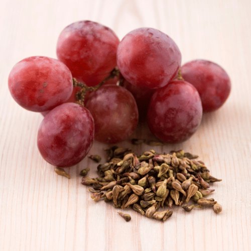 Semilla de Uva (Vitis vinifera)
