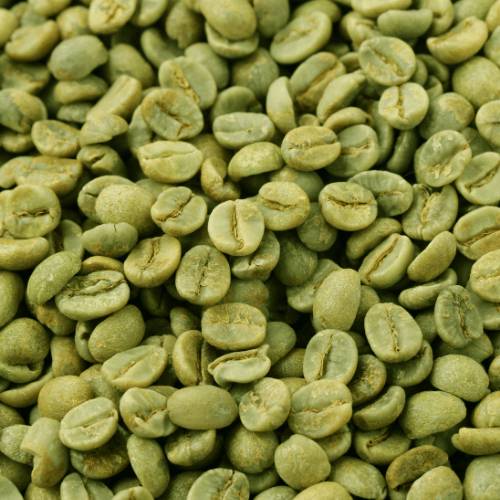 Extracto de Café Verde