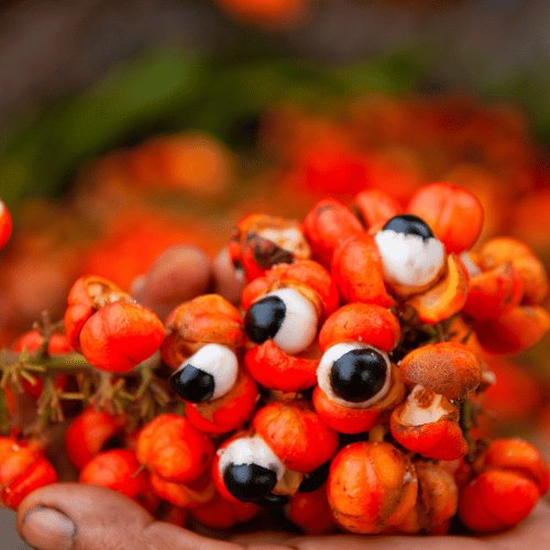 Polvo de Fruta de Guaraná