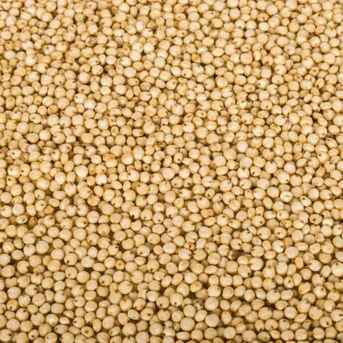 Orégano y Sorgo