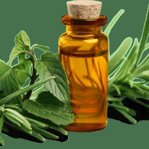 Aceite de Romero