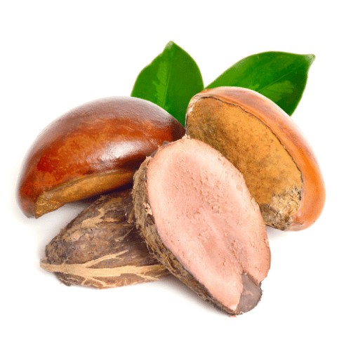 Manteca de Karité (Shea)