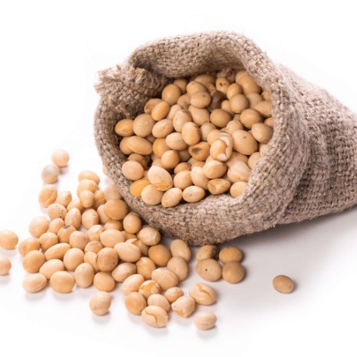 Proteína de Soya
