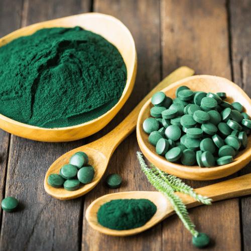 Alga Espirulina (Spirulina platensis)