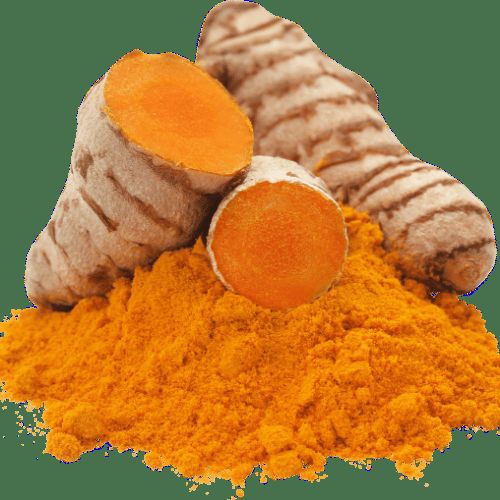 Cúrcuma (Curcuma longa)